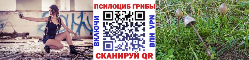 Псилоцибиновые грибы прущие грибы  даркнет сайт  Одинцово 